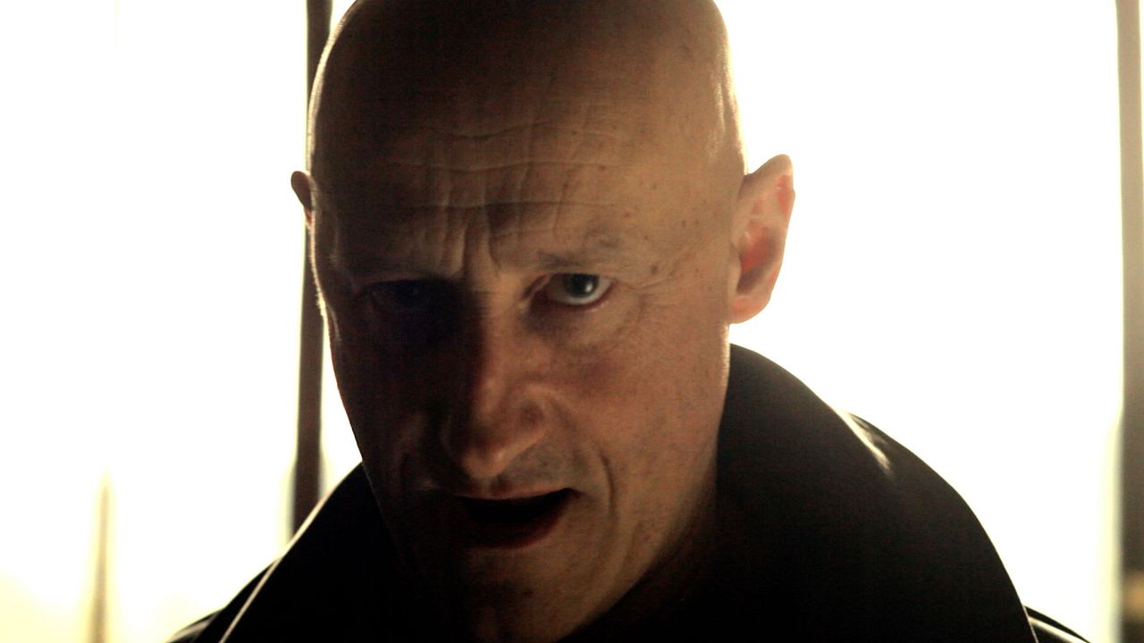 Mi vida entre las hormigas : Bild