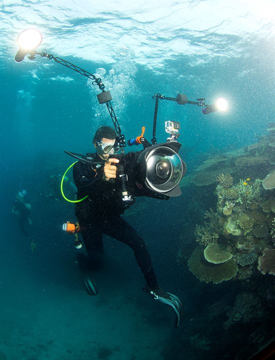 Chasing Coral : Bild Jeff Orlowski