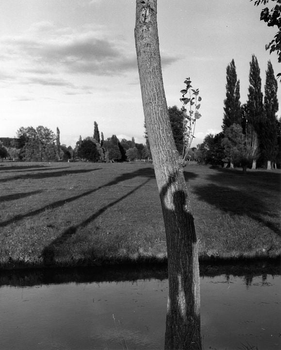 Robert Doisneau - Das Auge von Paris : Bild