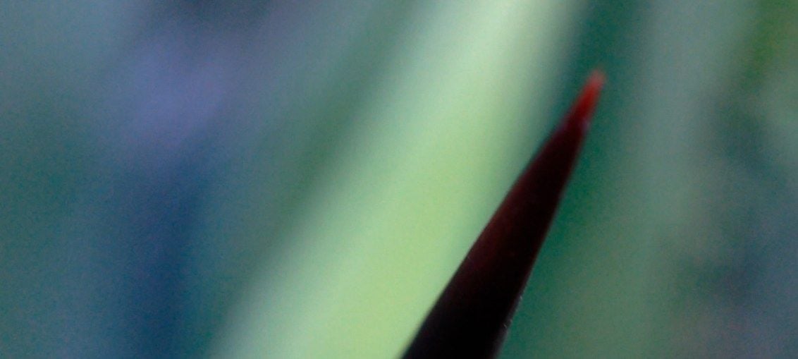 Still the Earth Moves : Bild