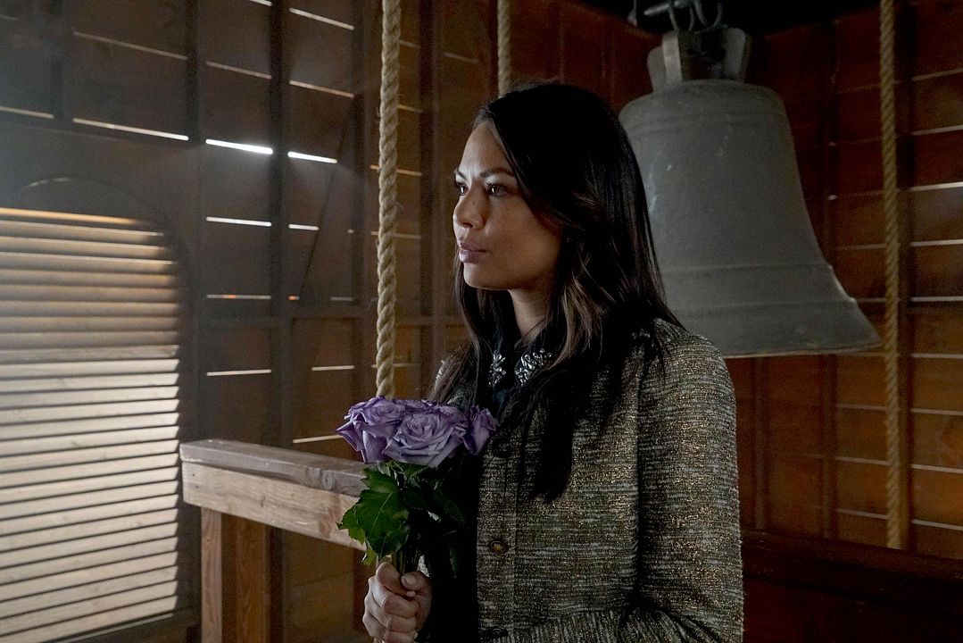 Pretty Little Liars : Bild Janel Parrish