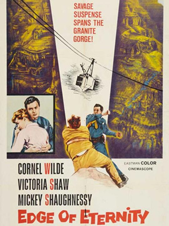 Der Mann aus Arizona : Kinoposter