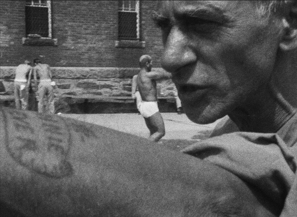 Titicut Follies : Bild