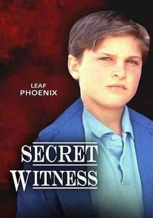 Secret Witness : Kinoposter