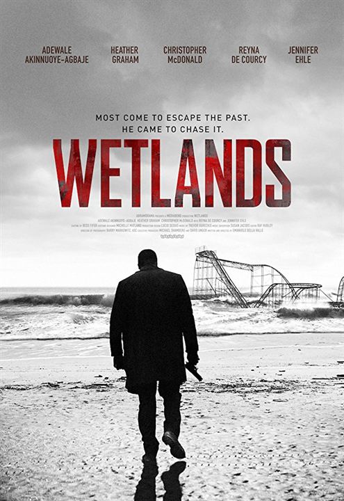 Wetlands : Kinoposter