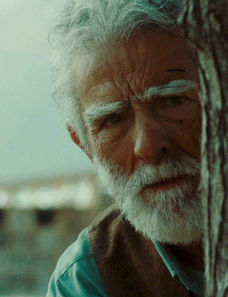 Los Versos del Olvido - Im Labyrinth der Erinnerung : Kinoposter