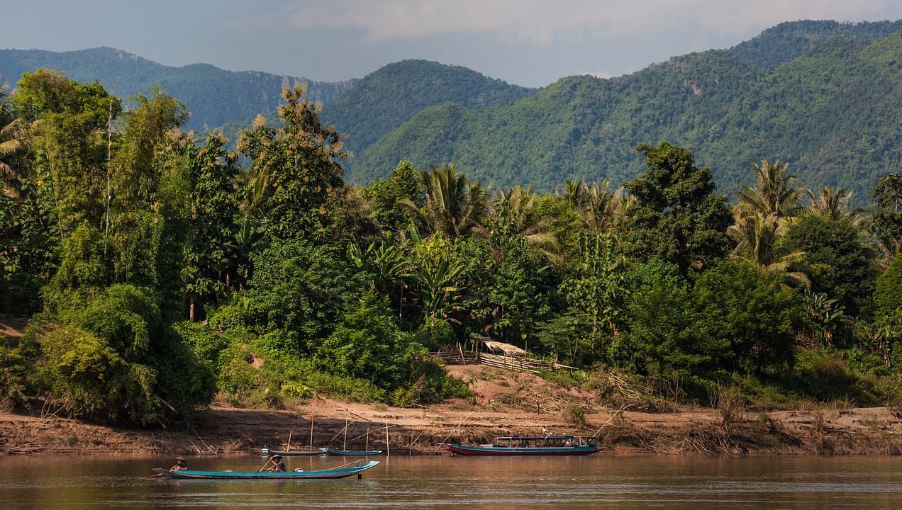 Bananas, Pancakes und der Lonely Planet : Bild