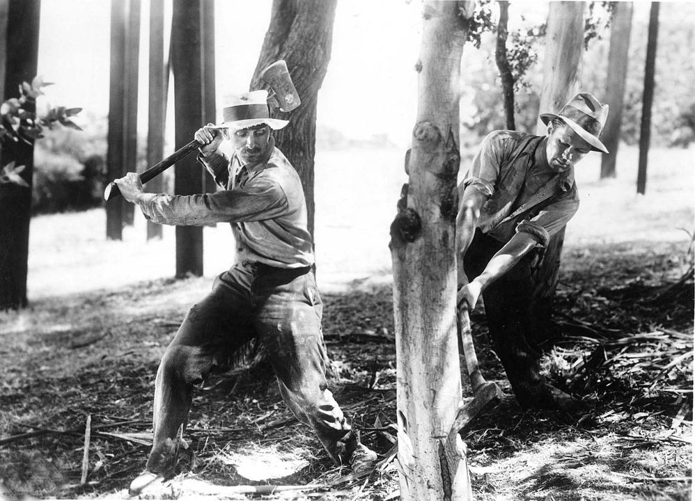 Unser tägliches Brot : Bild