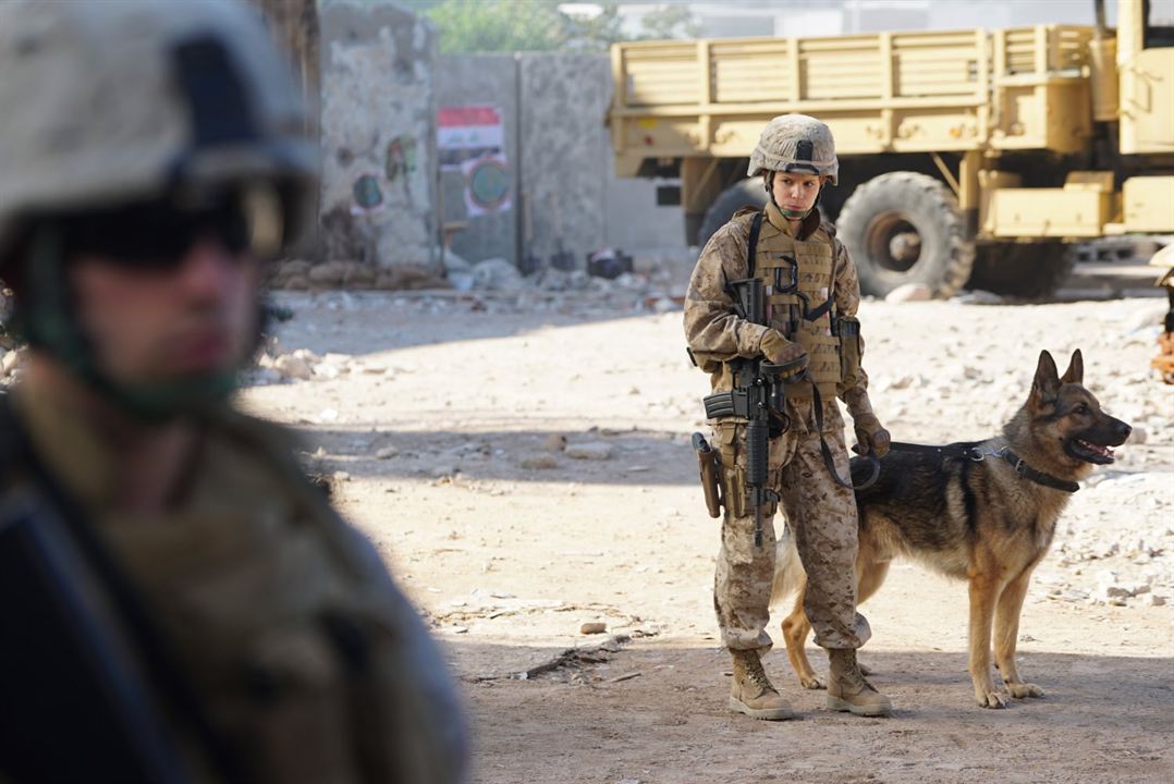 Sergeant Rex - Nicht ohne meinen Hund : Bild