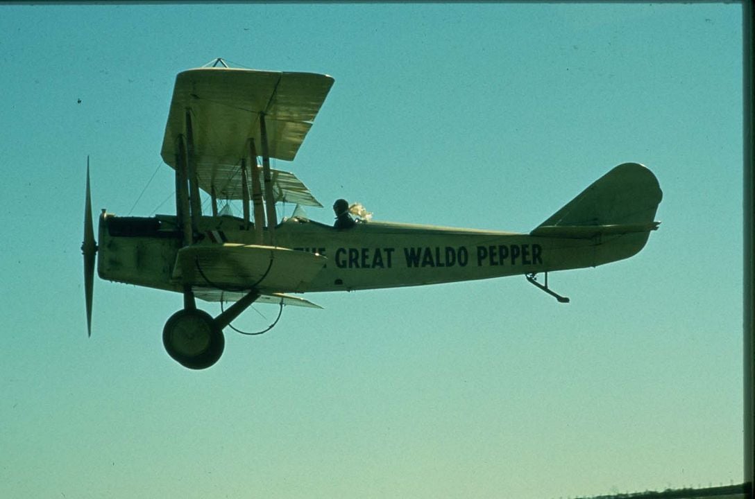 Tollkühne Flieger : Bild