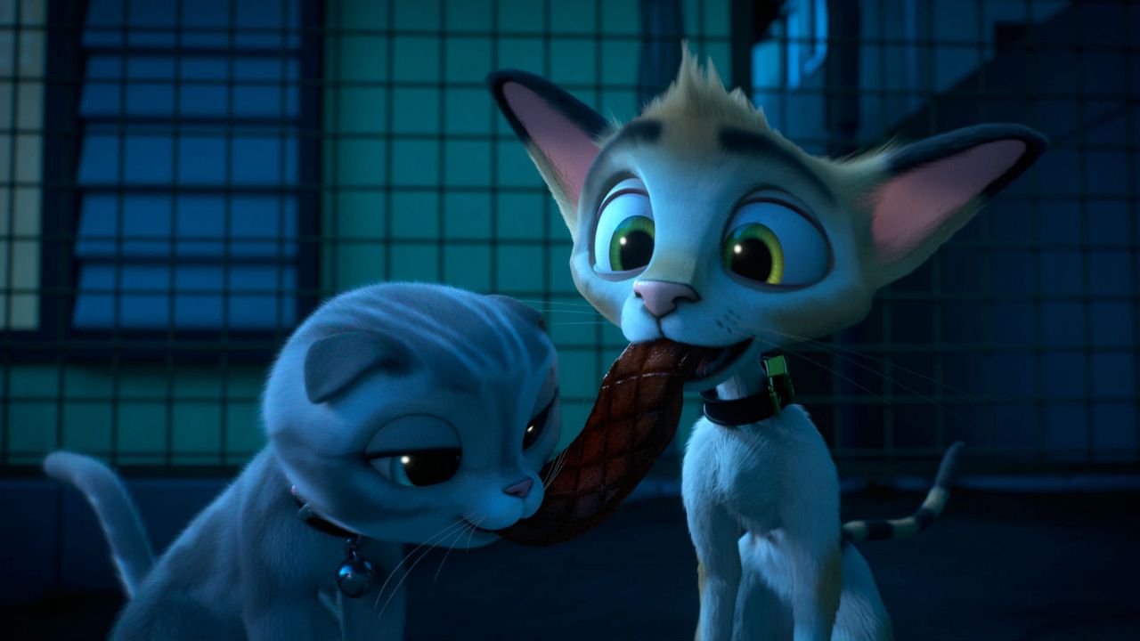 Rudolf, der schwarze Kater : Bild