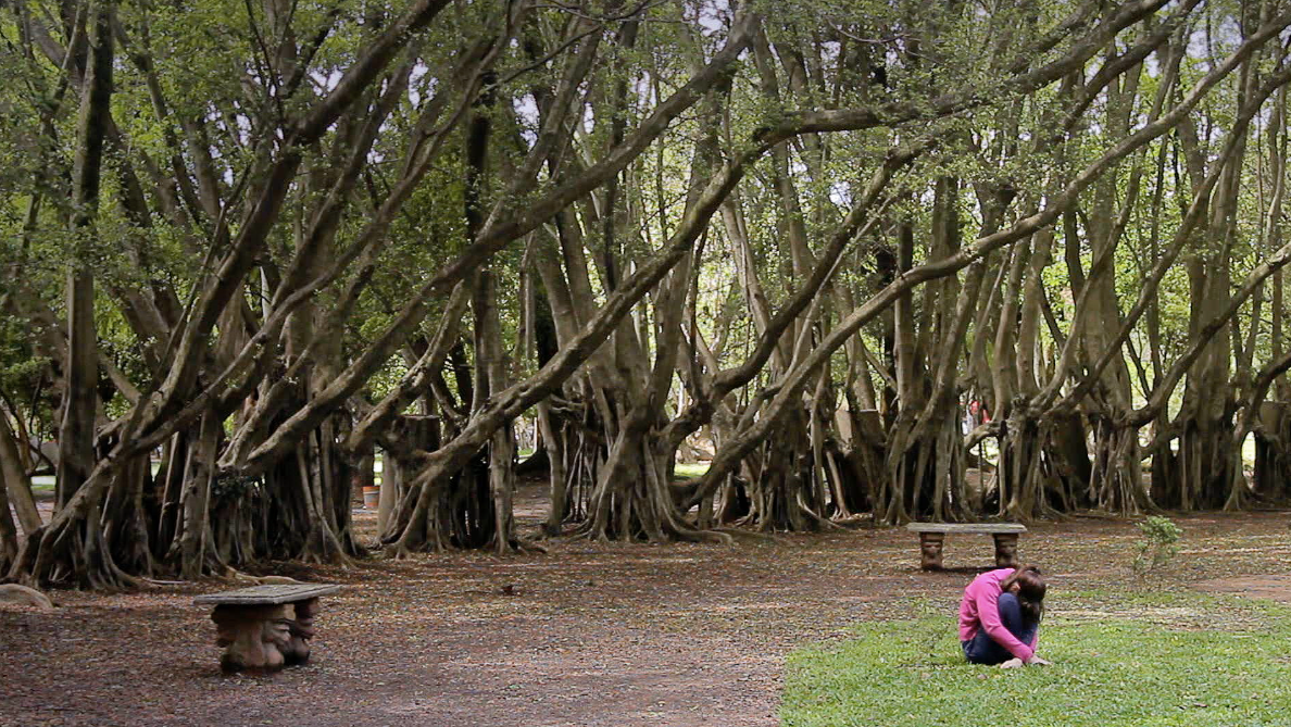 O Corpo em Terapia : Bild