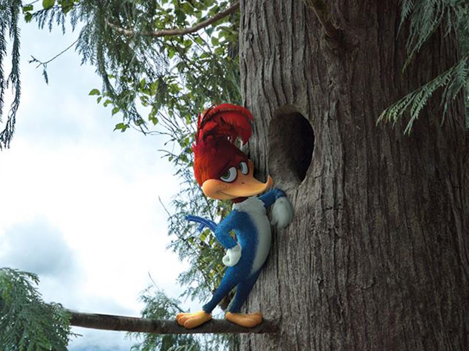 Woody Woodpecker : Bild