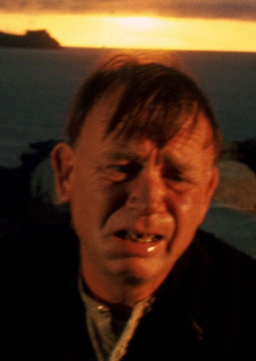 Ryan's Tochter : Bild