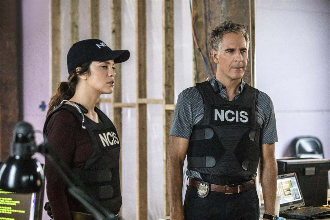 Navy CIS: New Orleans : Bild Vanessa Ferlito, Scott Bakula