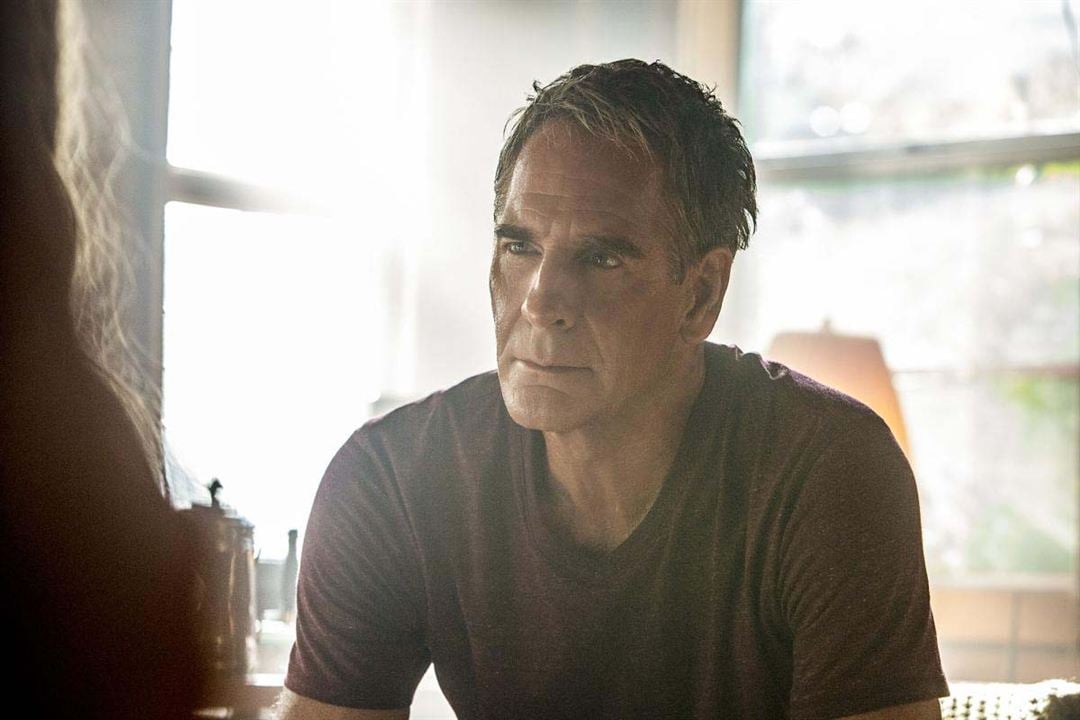 Navy CIS: New Orleans : Bild Scott Bakula