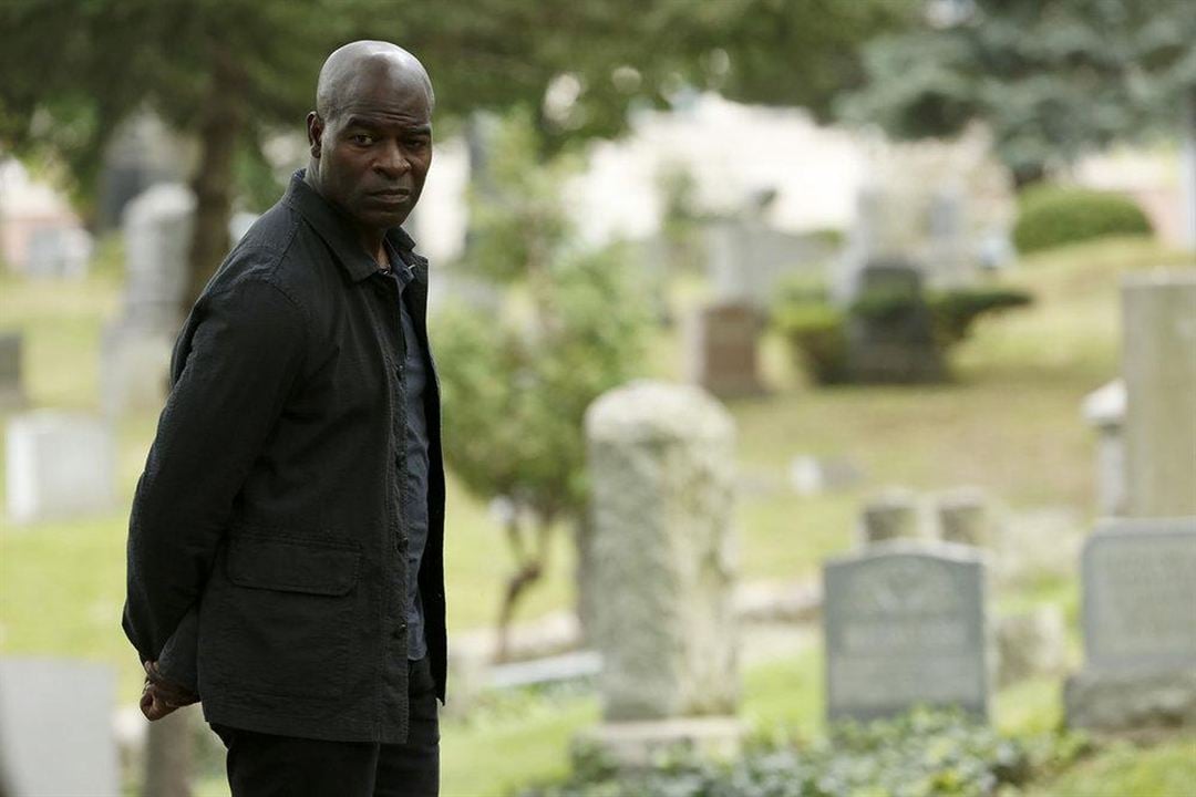 The Blacklist : Bild Hisham Tawfiq