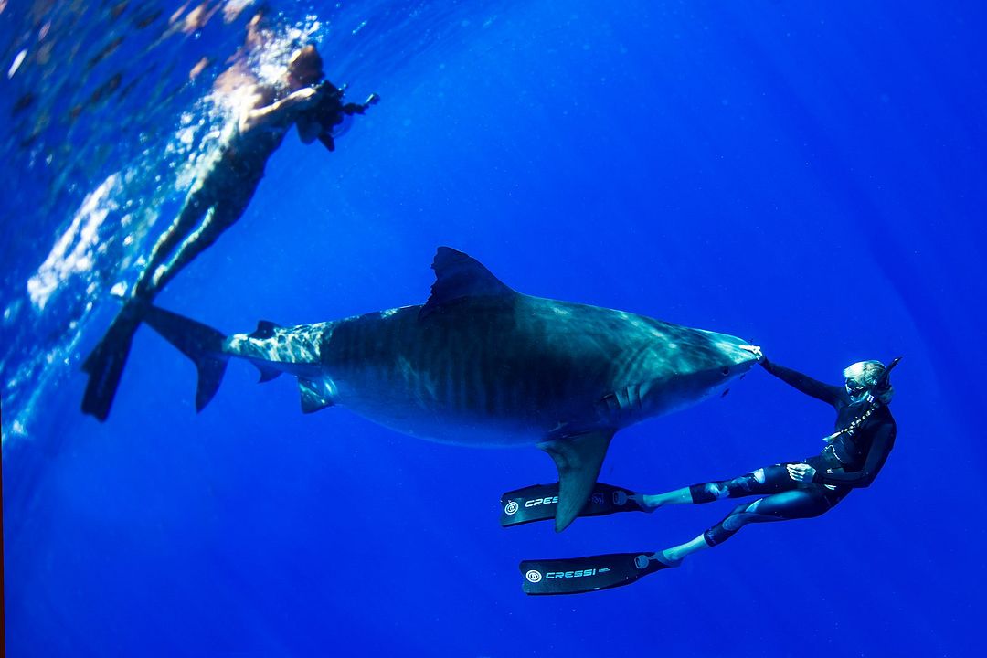Shorebreak - Die perfekte Welle. Clark Little - Wellenfotograf : Bild