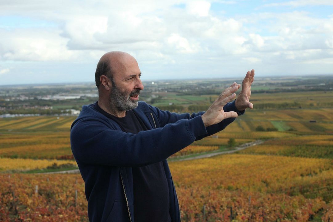 Der Wein und der Wind : Bild