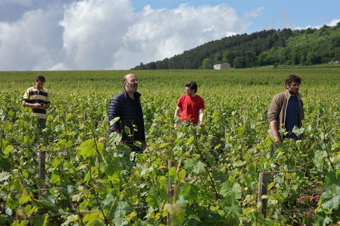 Der Wein und der Wind : Bild