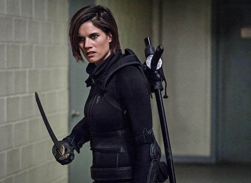 Van Helsing : Bild Missy Peregrym