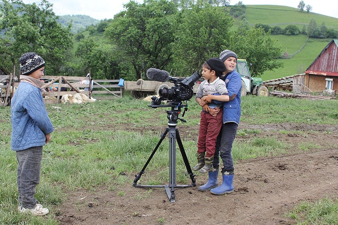 Transilvania Mea: Winners and Losers : Bild