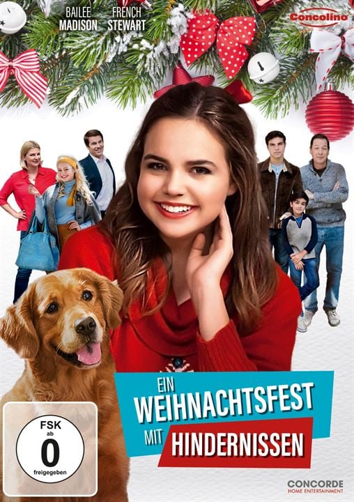 Ein Weihnachtsfest mit Hindernissen : Kinoposter