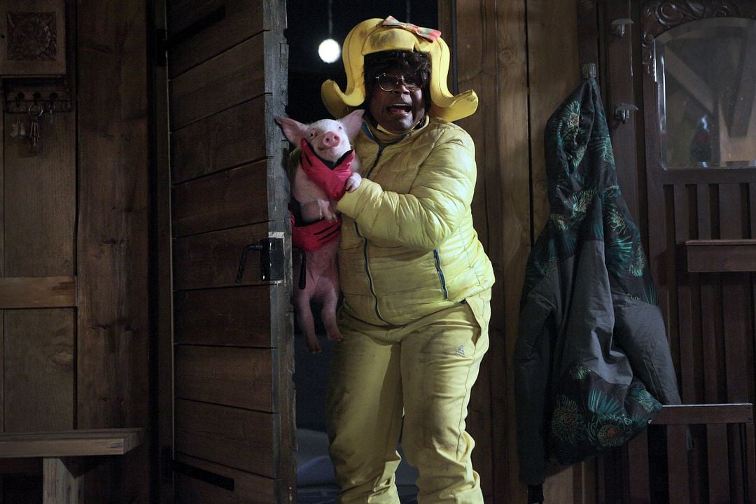 Bild Firmine Richard