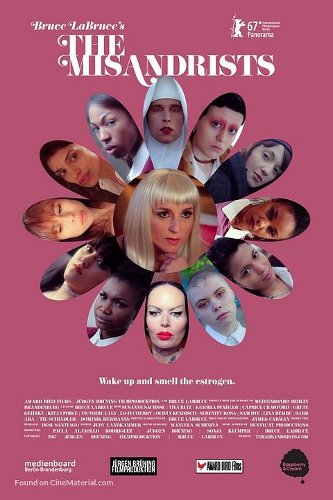 Die Misandristinnen : Kinoposter