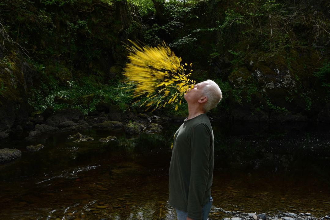 Leaning Into The Wind - Andy Goldsworthy : Bild Andy Goldsworthy