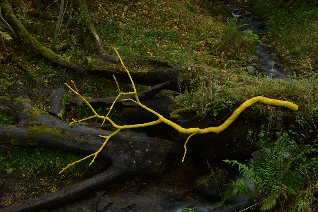 Leaning Into The Wind - Andy Goldsworthy : Bild