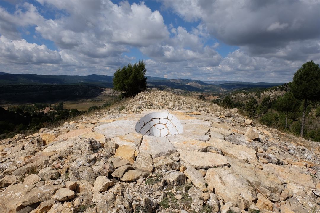 Leaning Into The Wind - Andy Goldsworthy : Bild