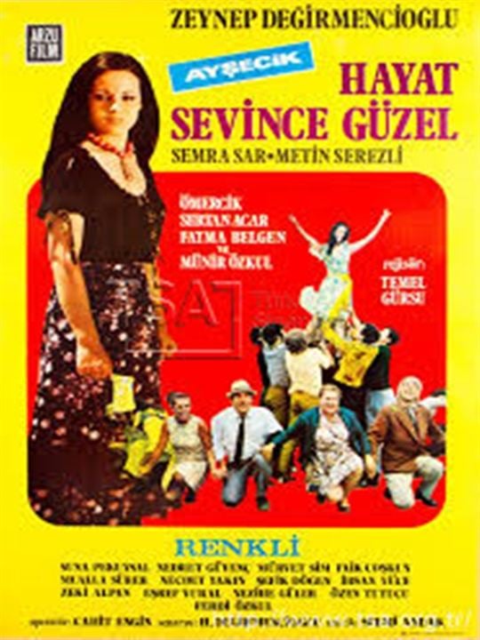 Hayat Sevince Güzel : Kinoposter