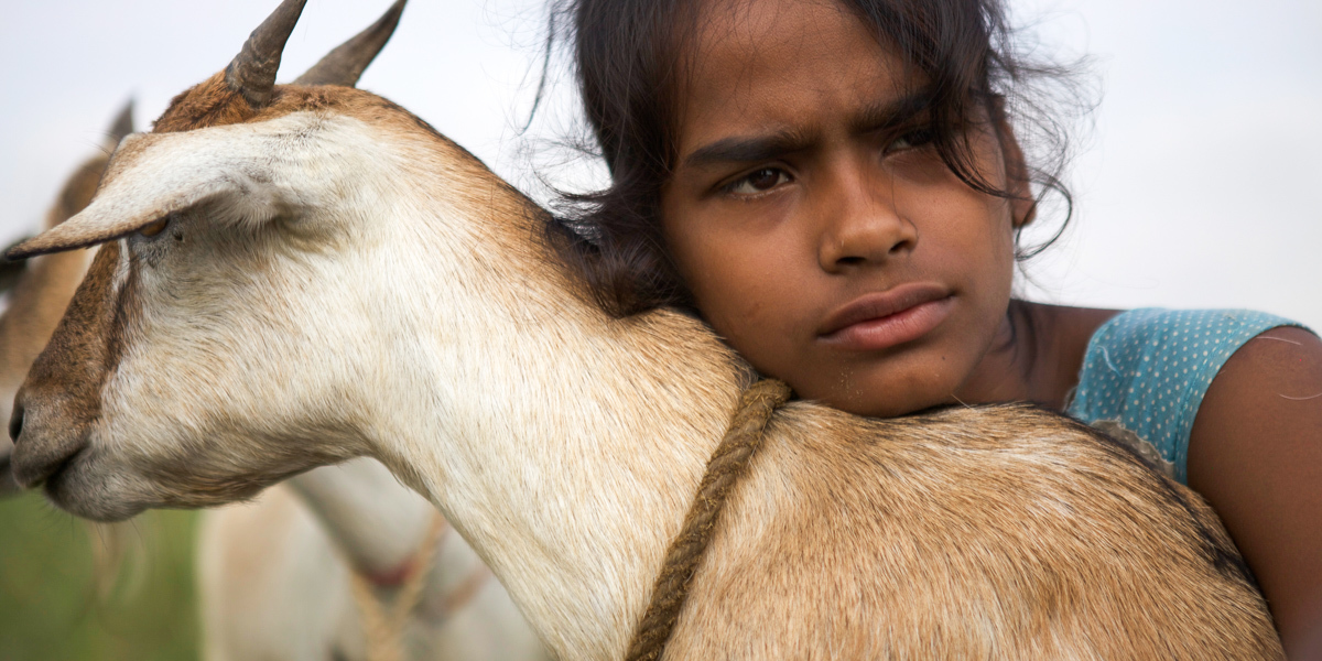 Village Rockstars : Bild