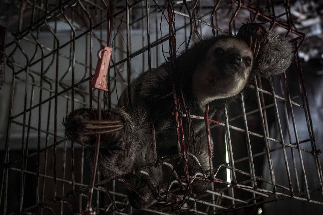 Die Geister des Flusses : Bild