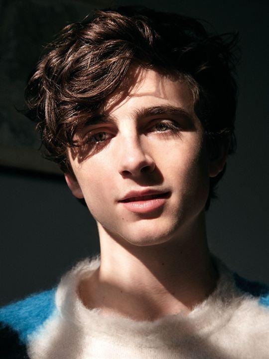 Kinoposter Timothée Chalamet