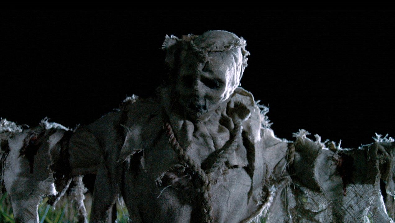 Scarecrows : Bild