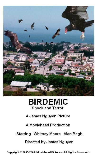 Birdemic: Shock and Terror : Kinoposter