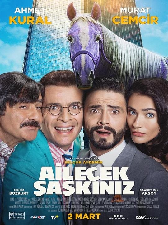 Ailecek Şaşkınız : Kinoposter