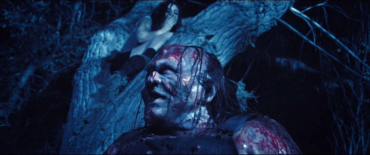 Hatchet - Victor Crowley : Bild