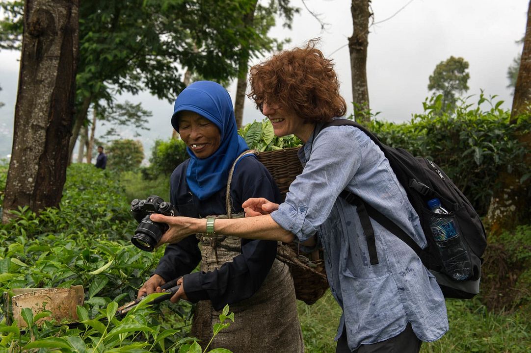Sternenjäger - Abenteuer Nachthimmel : Bild