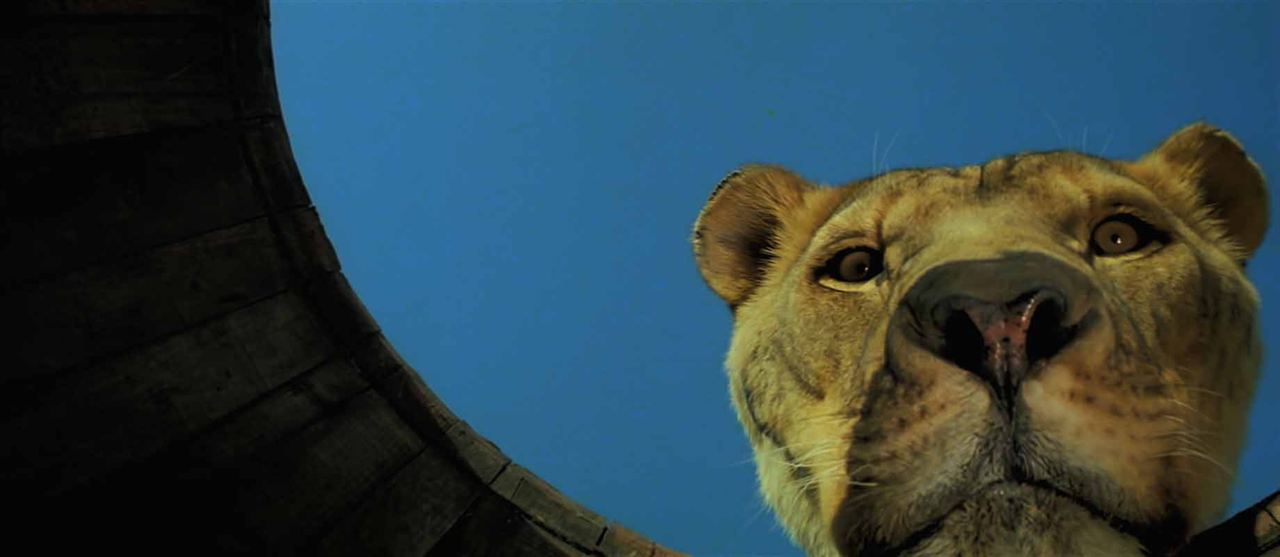 Roar - Die Löwen sind los : Bild
