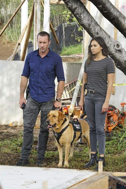 Hawaii Five-0 : Bild Meaghan Rath, Alex O'Loughlin