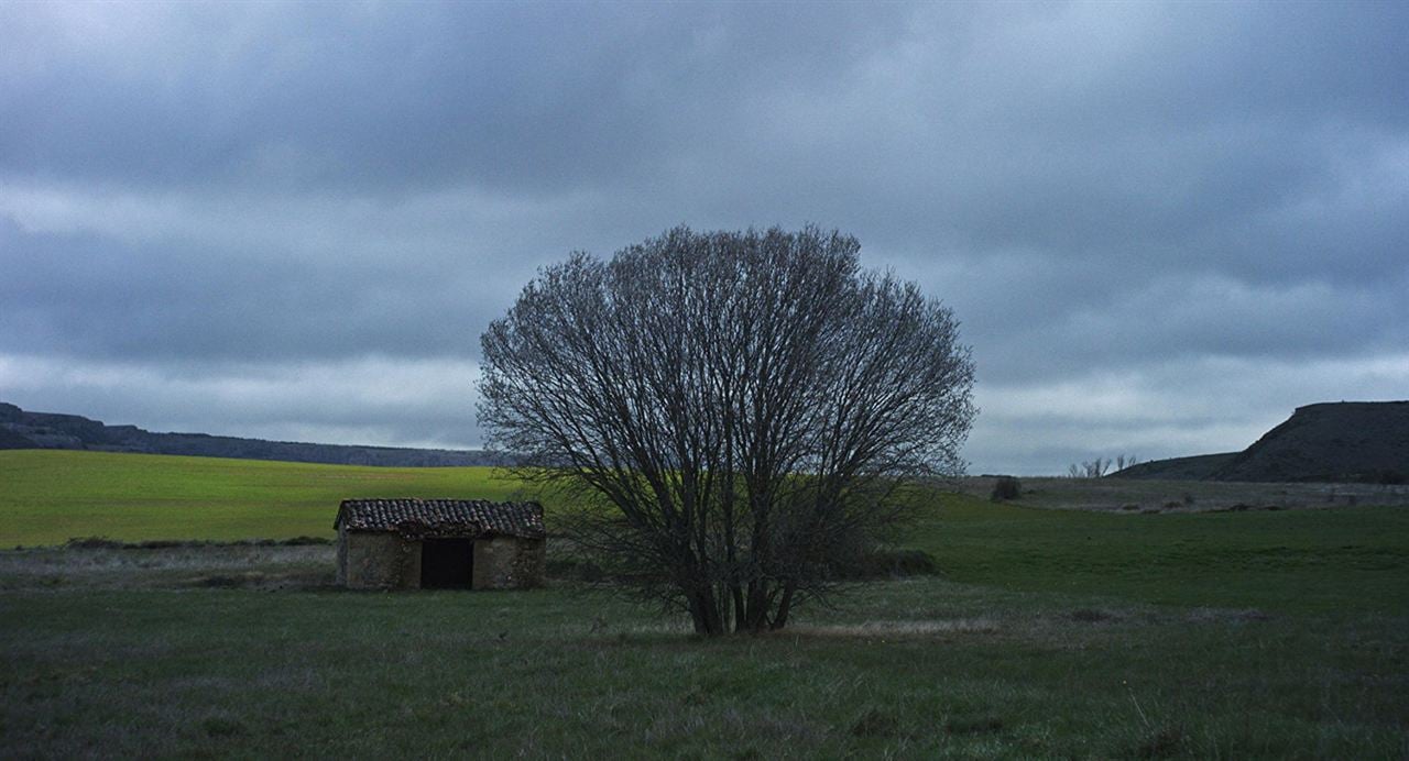 Con el viento : Bild