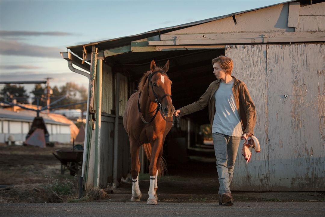 Lean On Pete : Bild Charlie Plummer