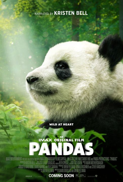 Pandas : Kinoposter