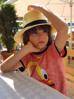 Kinoposter Stefan Raus