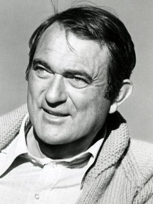 Kinoposter Andrew V. McLaglen