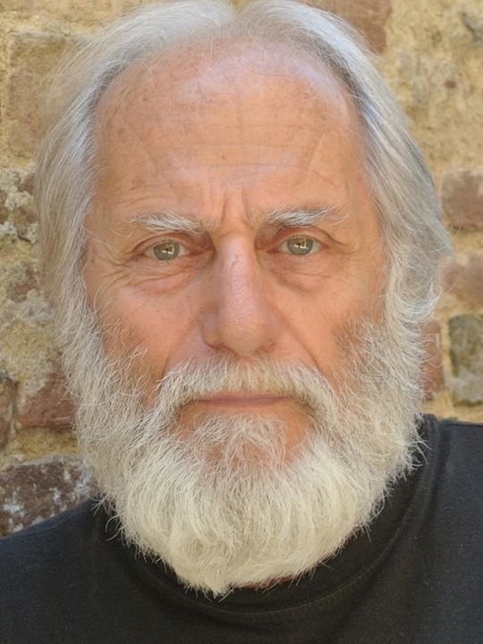 Kinoposter Luigi Diberti
