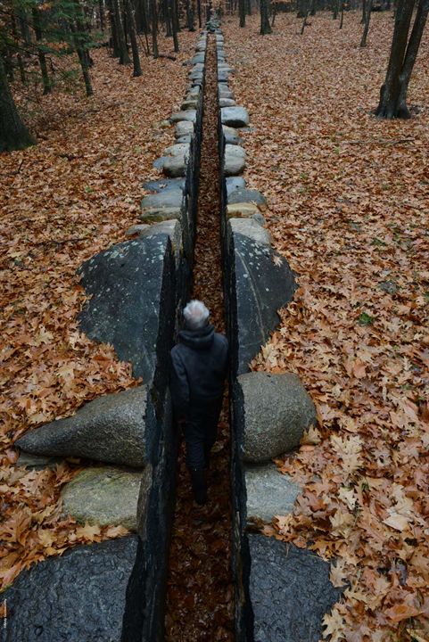 Leaning Into The Wind - Andy Goldsworthy : Bild